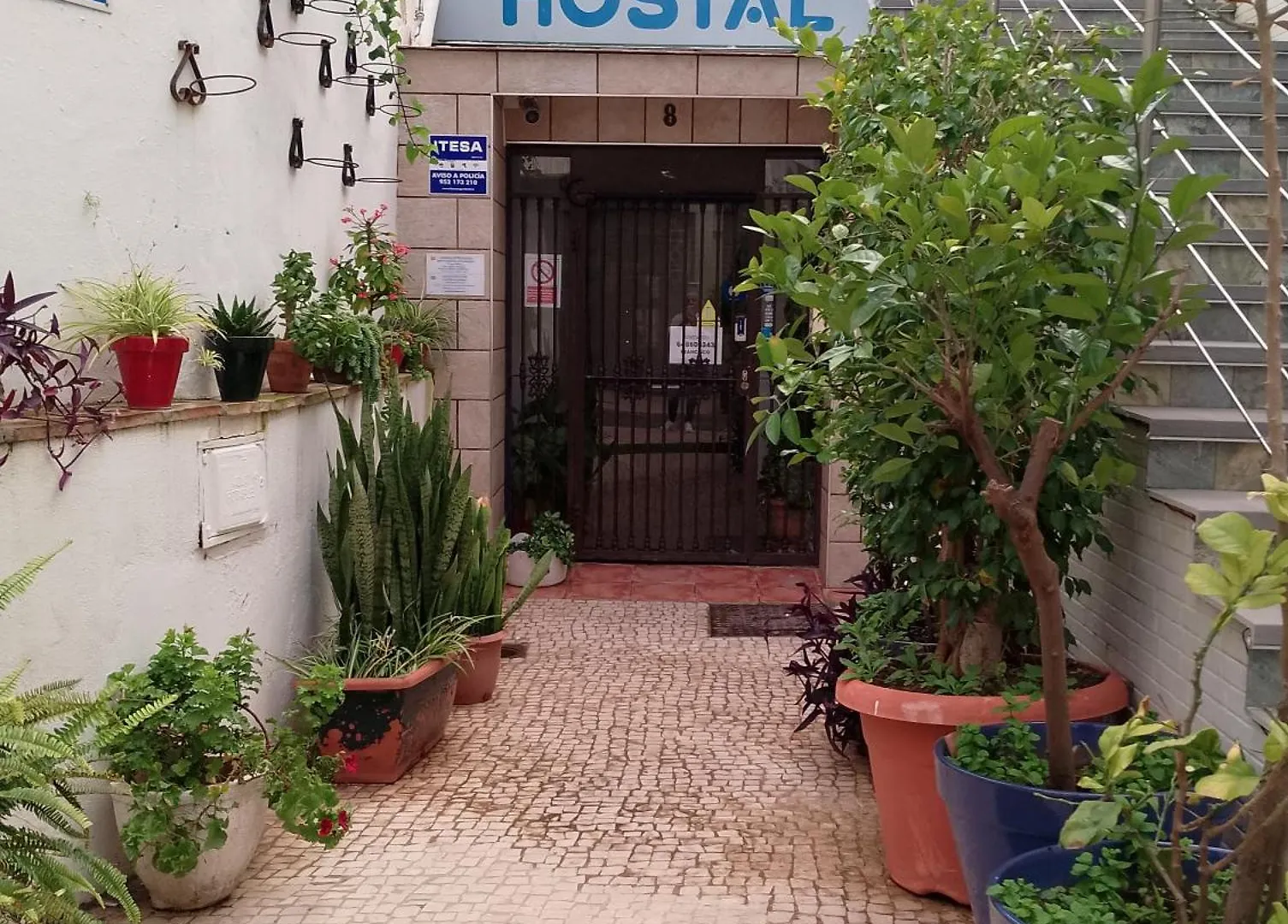 Joy Beach B&B Torremolinos 0*,  Španělsko
